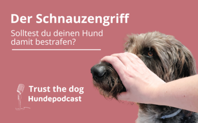 Schnauzengriff – Ist der Schnauzengriff gut?