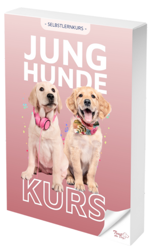 Wenn der Welpe zum Junghund wird