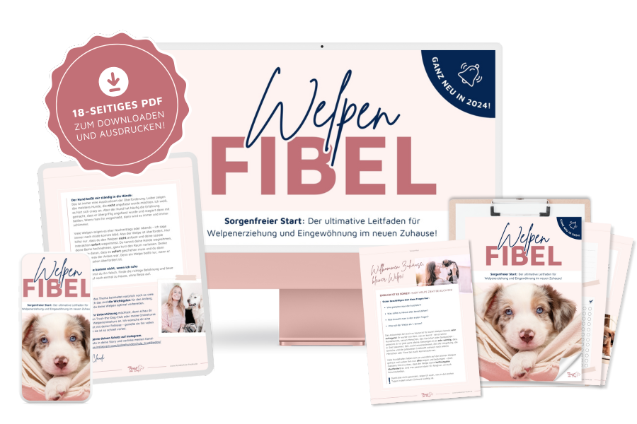 Welpenschule, Welpe, Tipps für Welpen, Onlinehundeschule, Onlinewelpenschule, Hundepodcast