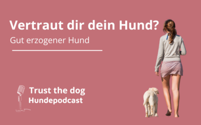 Sicherheit und Vertrauen: Der Weg zu einem gut erzogenen Hund”