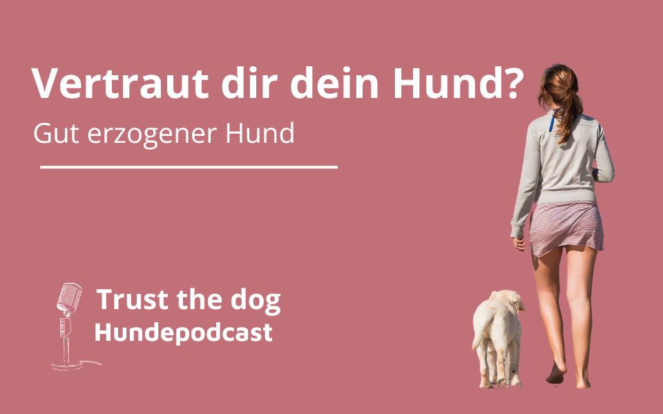 Sicherheit und Vertrauen: Der Weg zu einem gut erzogenen Hund”