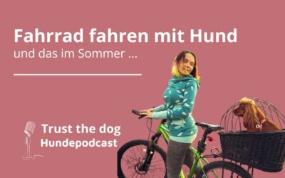 Mit Hund im Sommer Fahrrad fahren