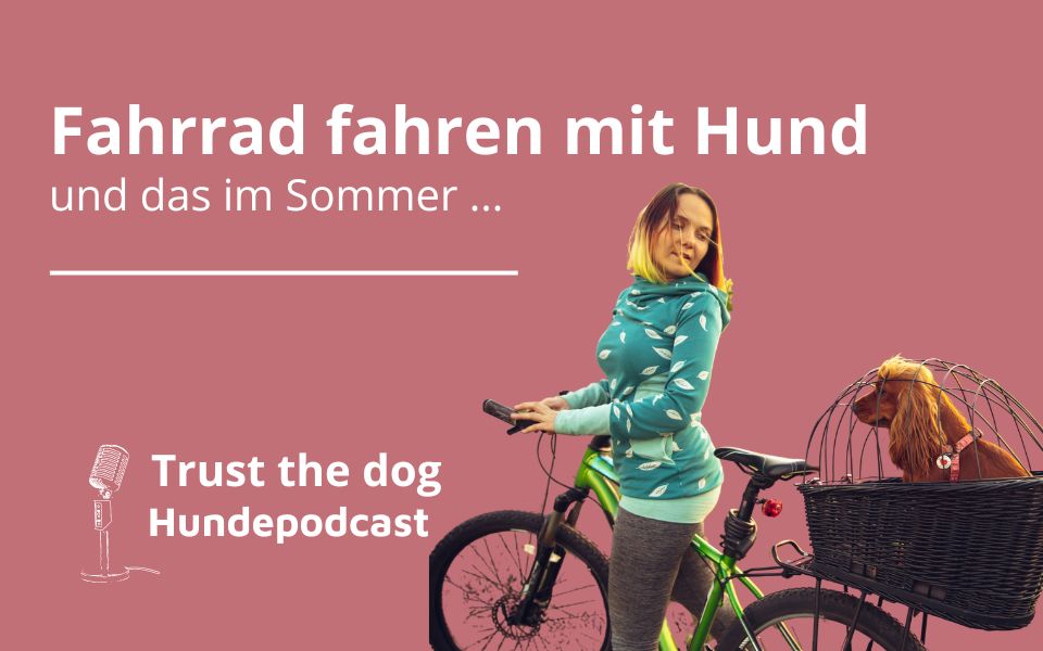 Mit Hund im Sommer Fahrrad fahren