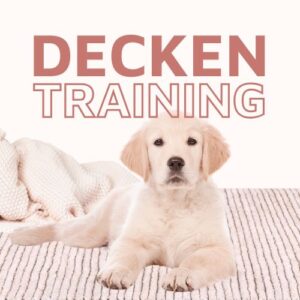 Deckentraining-Onlinekurs