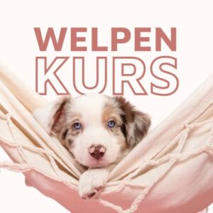 Welpen-Onlinekurs