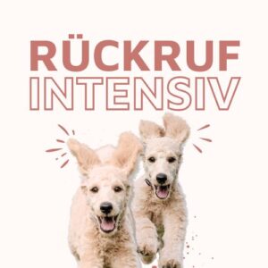 Rückruf-Onlinekurs