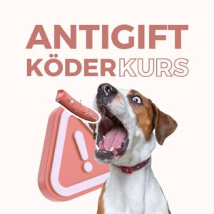 Anti-Giftköderkurs