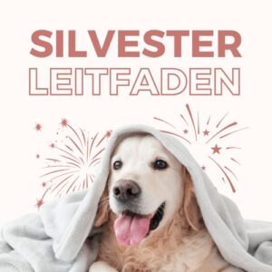 Silvester-Leitfaden