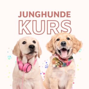 Junghunde-Onlinekurs
