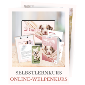 Shopbild für den Selbstlernkurs "Welpen-Onlinekurs"
