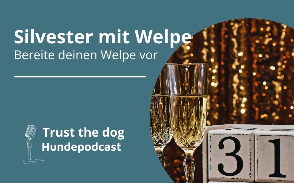 Silvester mit Welpe