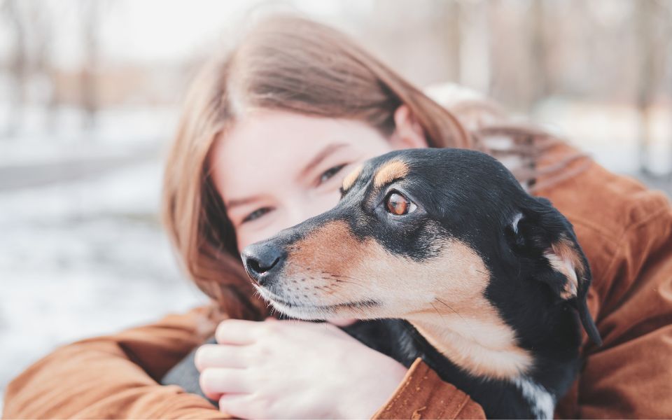 Hund mit einem Menschen. Körpersprache des Hundes.