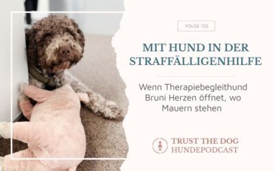 Therapiebegleithund Bruni