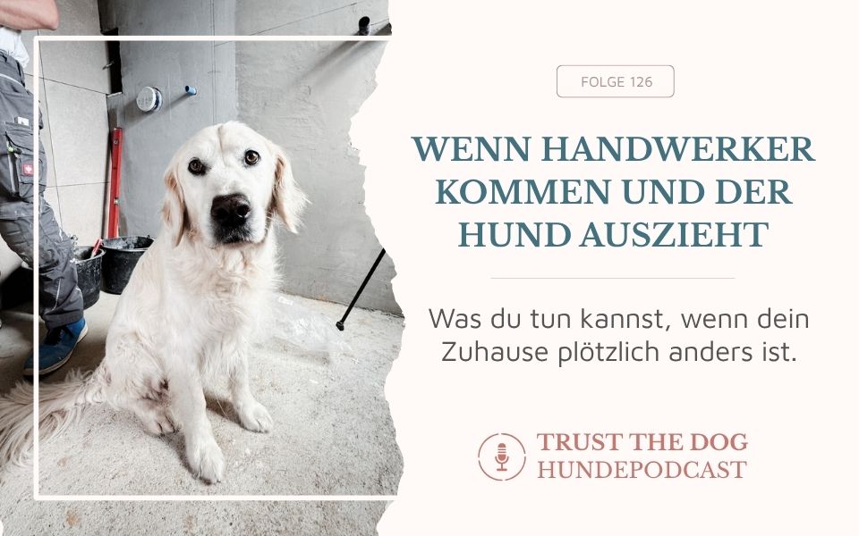 Wenn Handwerker kommen und der Hund auszieht