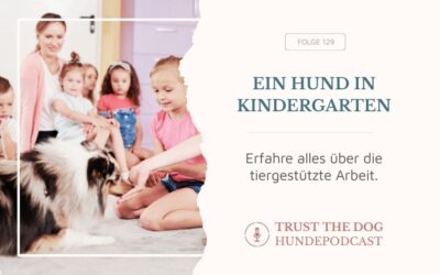 Pädagogikbegleithund im Kindergarten