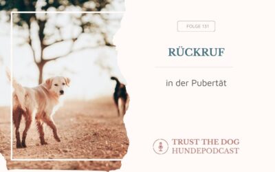 Rückruf in der Pubertät