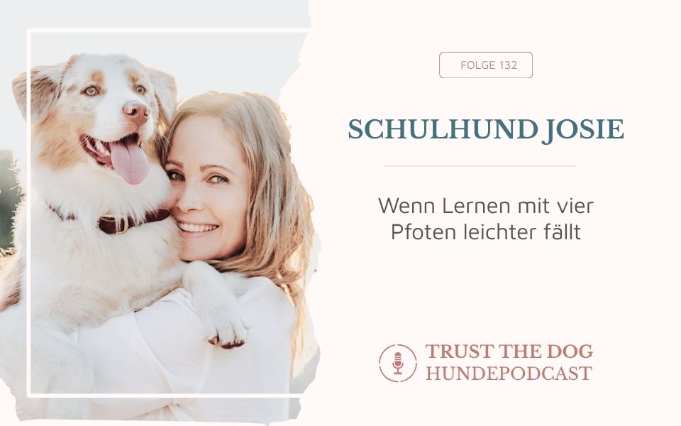 Schulhund Josie