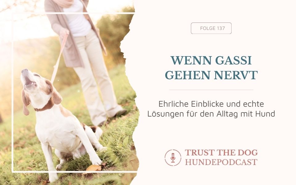 Wenn Gassi gehen nervt