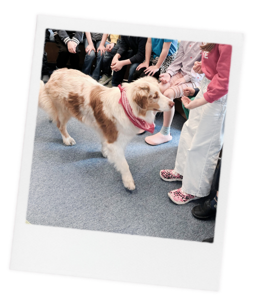 Fortbildung für die tiergestützte Arbeit - Schulhunde Fortbildung