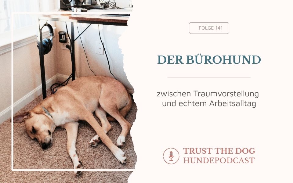Der Bürohund