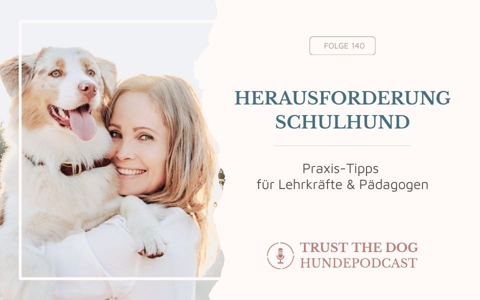 Herausforderung Schulhund