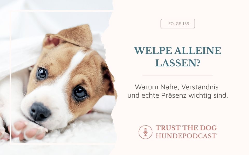 Welpe alleine lassen?