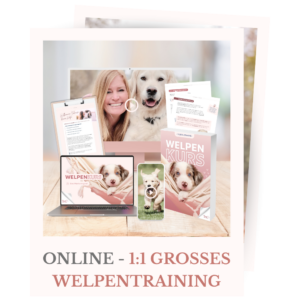 Shopbild für das große 1:1 Onlinewelpentraining