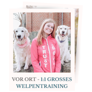 Shopbild für das große 1:1 Welpentraining vor Ort