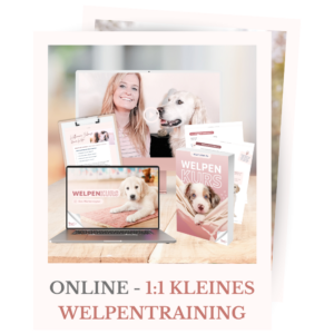 Shopbild für das kleine 1:1 Online-Welpentraining
