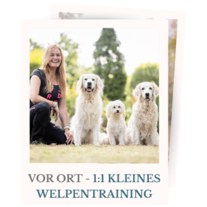 Shopbild für das kleine 1:1 Vor-Ort-Welpentraining