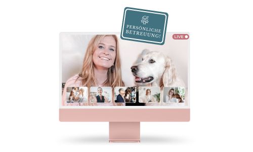 Beim Onlinekurs Hundeerziehung leicht gemacht werden alle Live-Meetins aufgezeichnet