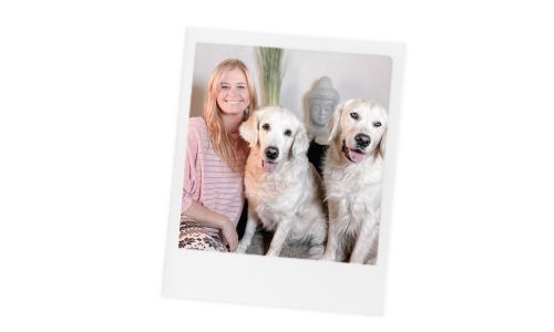 Hundetrainerin Claudia Pauliks bietet beim Live-Onlinekurs Hundeerziehungleicht gemacht persönliche Betreuung