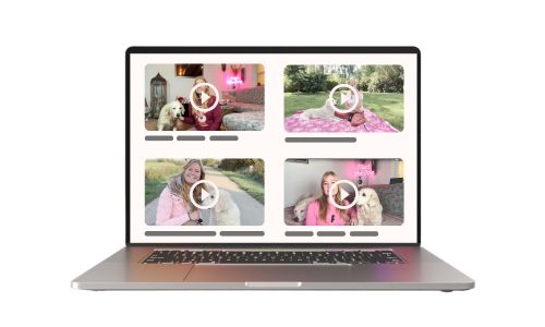 Der Live-Onlinekurs Hundeerziehung leicht gemacht beinhaltet Erklär-Videos und Selbstlern-Lektionen