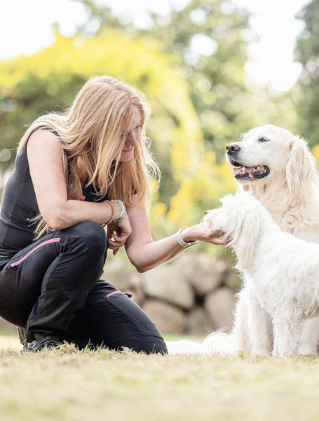 Die Hündin Teufelchen gewinnt an Vertrauen.