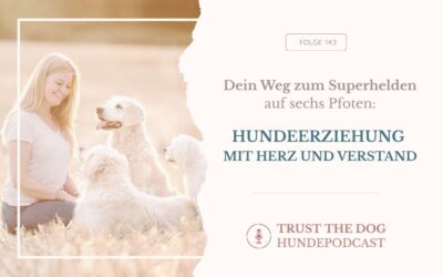 Hundeerziehung mit Herz und Verstand