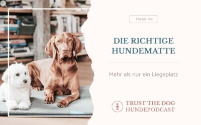 Die richtige Hundematte