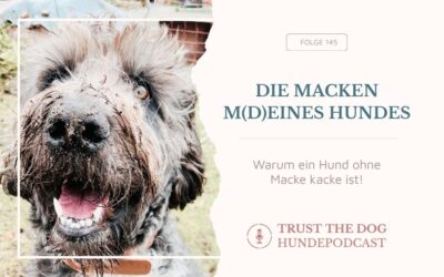 Die Macken meines Hundes