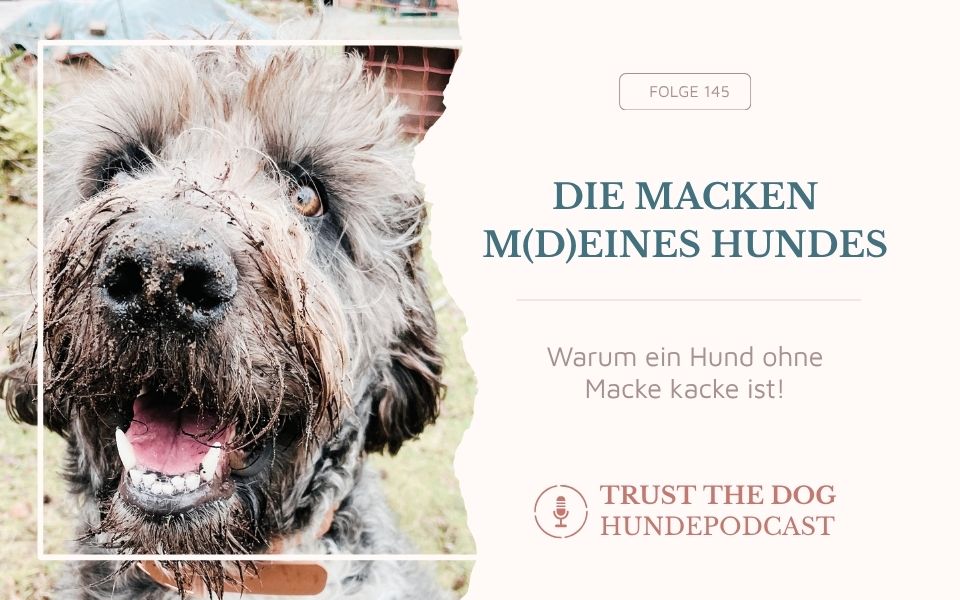 Die Macken meines Hundes