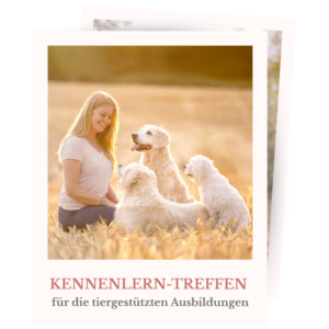 Shopbild für das Kennenlerntreffen vor Ort für die Schulhundeausbildung und Therapiehundeausbildung
