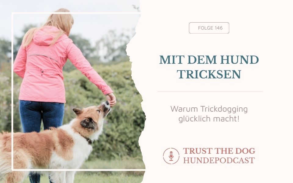 Mit dem Hund tricksen