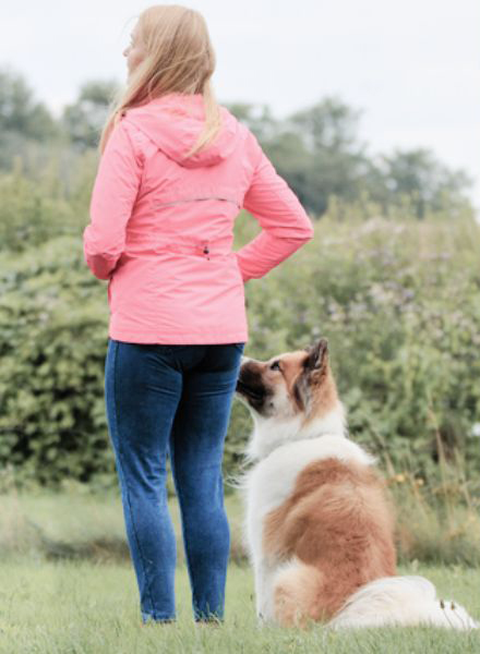 Eine gute Hundematte sollte immer rutschfest sein und dem Hund einen sicheren Platz bieten