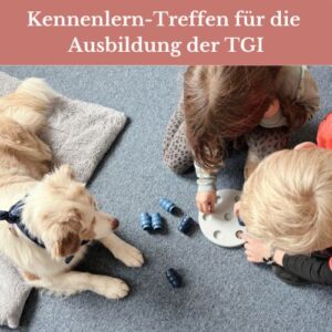 Schulhundeausbildung in Hamburg