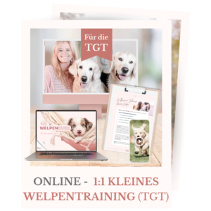 Shopbild für das kleine 1:1 Welpentraining für die TGT