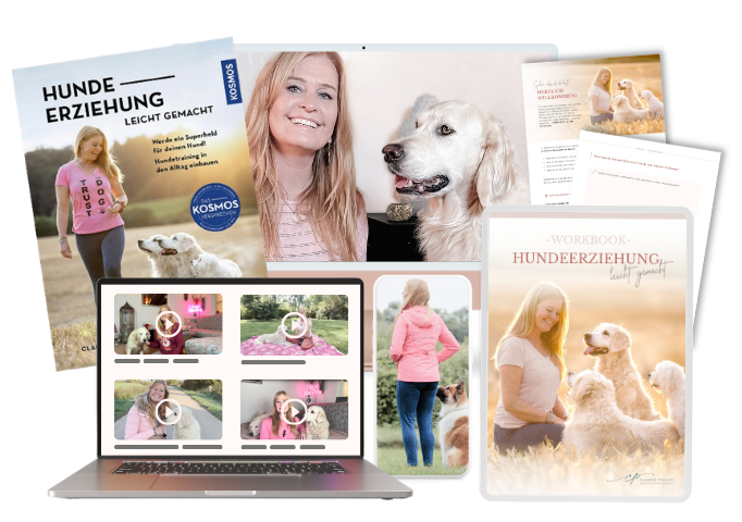 Der Live-Onlinekurs "Hundeerziehung leicht gemacht" von Claudia Pauliks